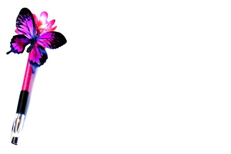 Butterfly Pen Space For Text