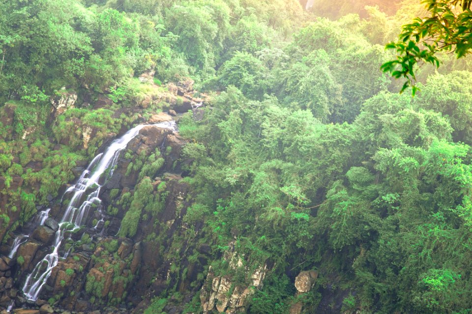 Waterfall In The Forest