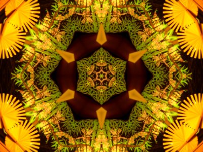 Kaleidoscope (79)
