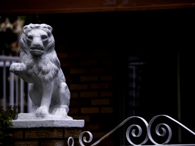 Lions Of Vancouver --eastvan-photowalk-vancouver-em10-75-300mm-20150517-P5170050