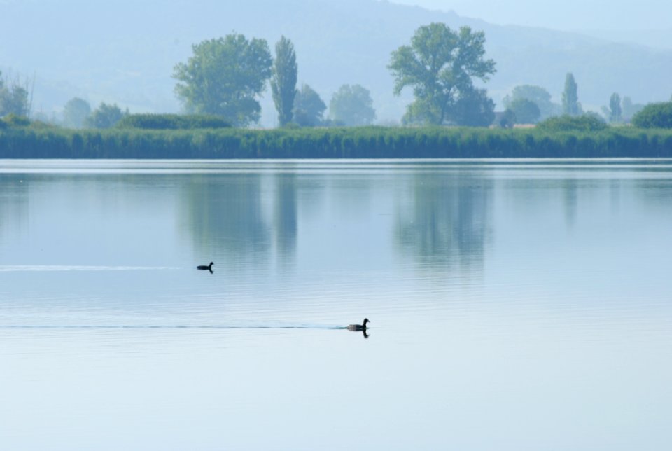 MM00-1006 UMBRIA MARCHE ANM DUCK D3000 55-200
