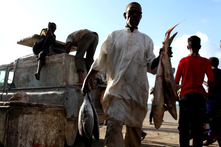 Somali Fisher Man photo