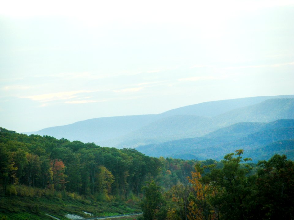 Landscape Of Forested Hills