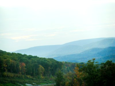 Landscape Of Forested Hills