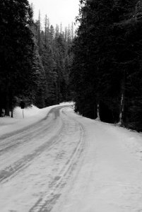 Going-to-the-Sun Road