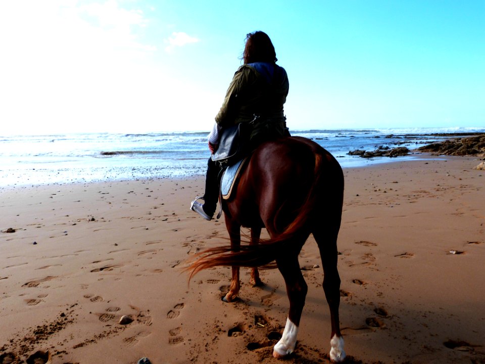 A Little Horse Riding