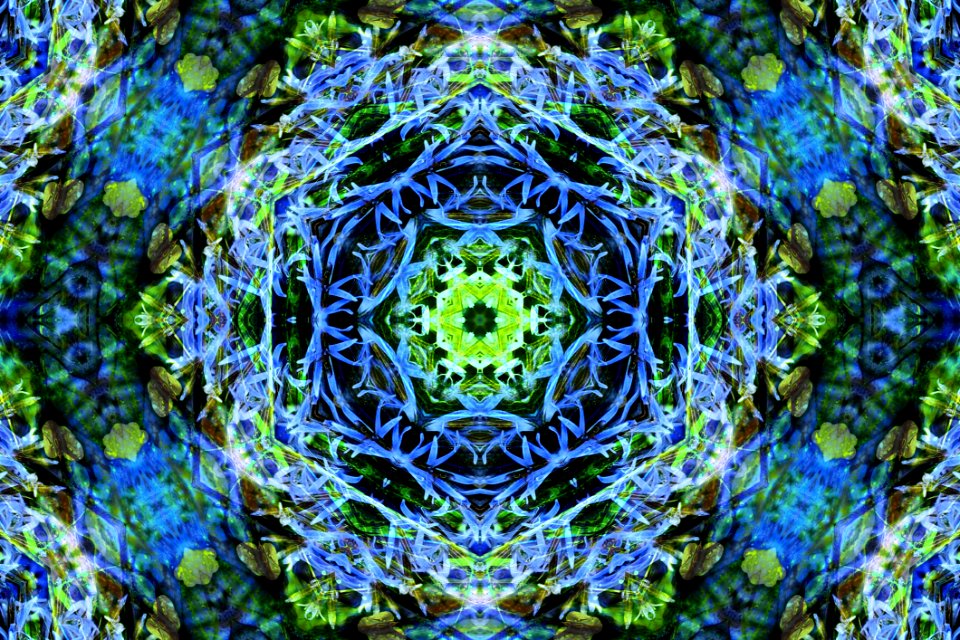 Kaleidoscope Design 14