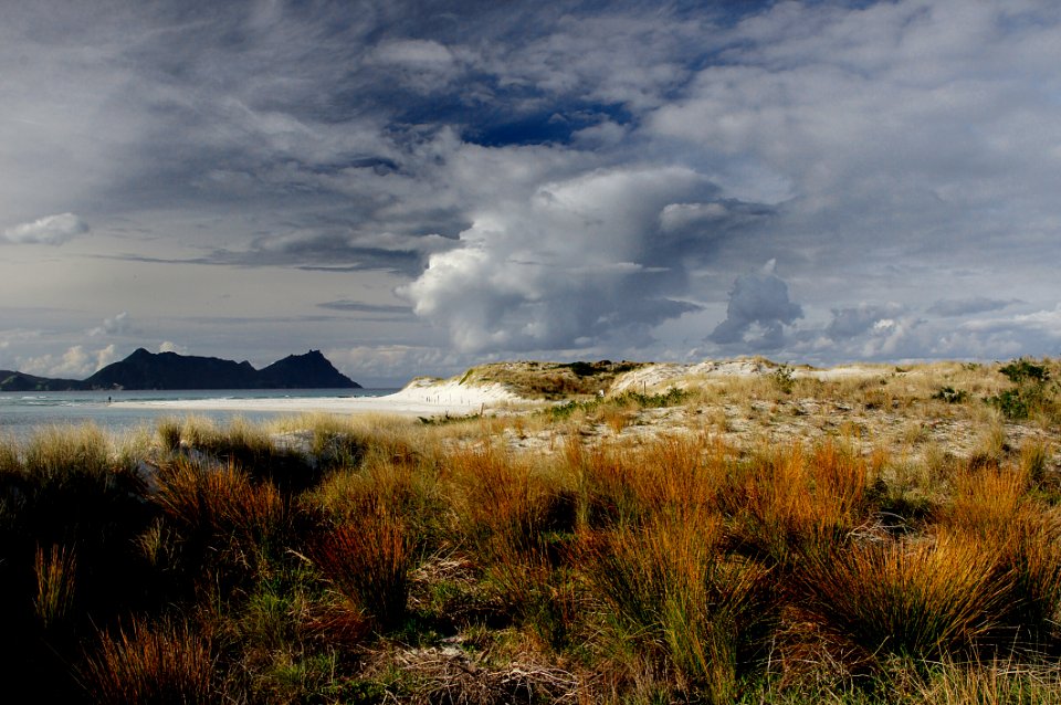 Ruakaka Beach Northland NZ