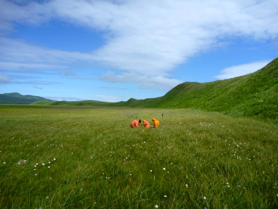 Studying Alaska Geology