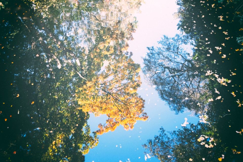 Autumn Reflection