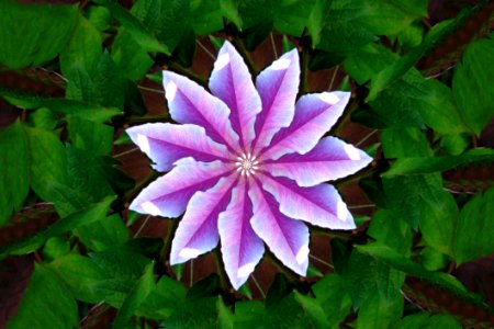 Kaleidoscope (57)