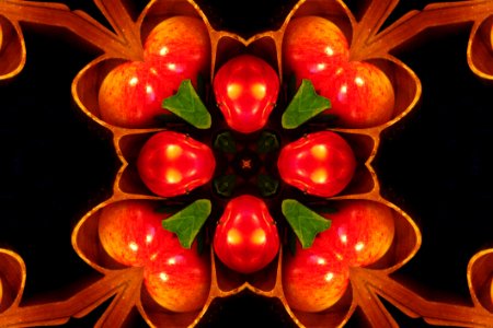 Kaleidoscope Design 24