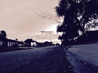Street In Suburbia