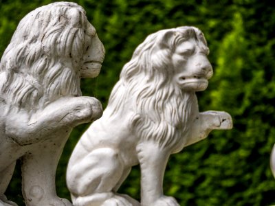 Lions Of Vancouver --eastvan-photowalk-vancouver-em10-75-300mm-20150517-P5170045