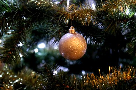 Closeup Of Gold Ornament On Tree