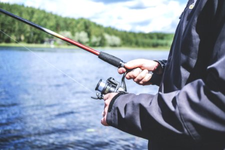 Reel Fishing