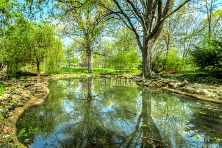 Pond In Park