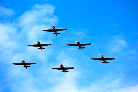 Historic Fighter Squadron photo