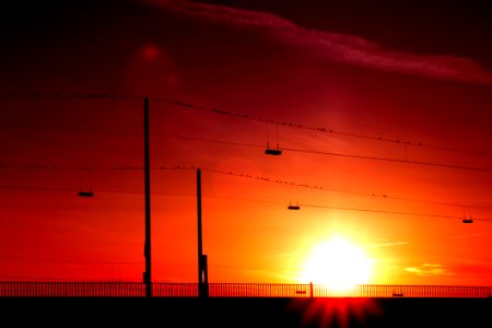 Silhouette Of Posts Under Orange Sunset photo