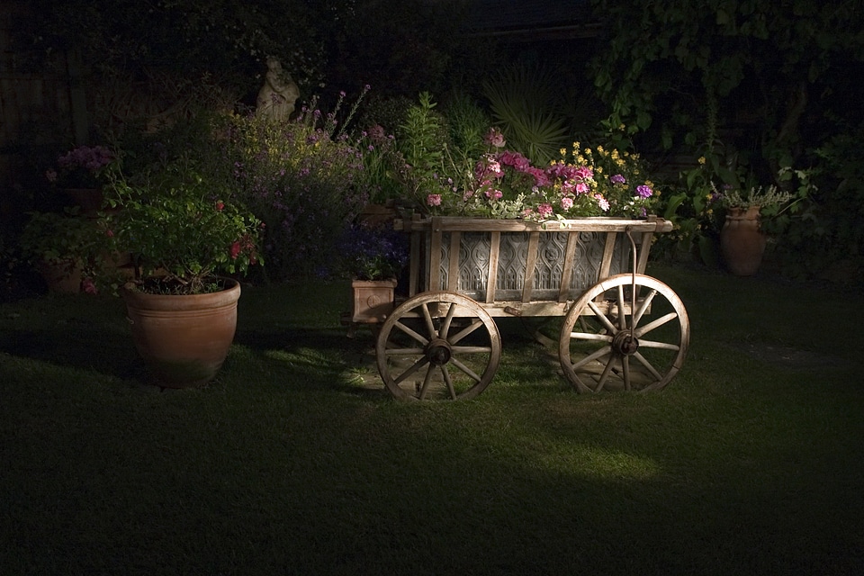 Nighttime outdoors torchlit