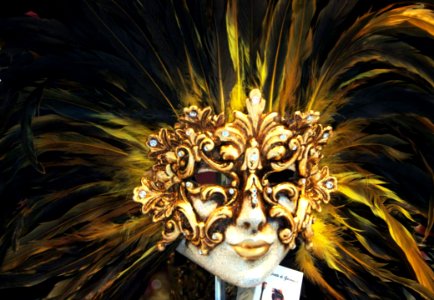License Free Photo - Creative Commons By Gnuckx