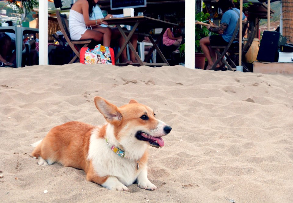 Day At The Beach