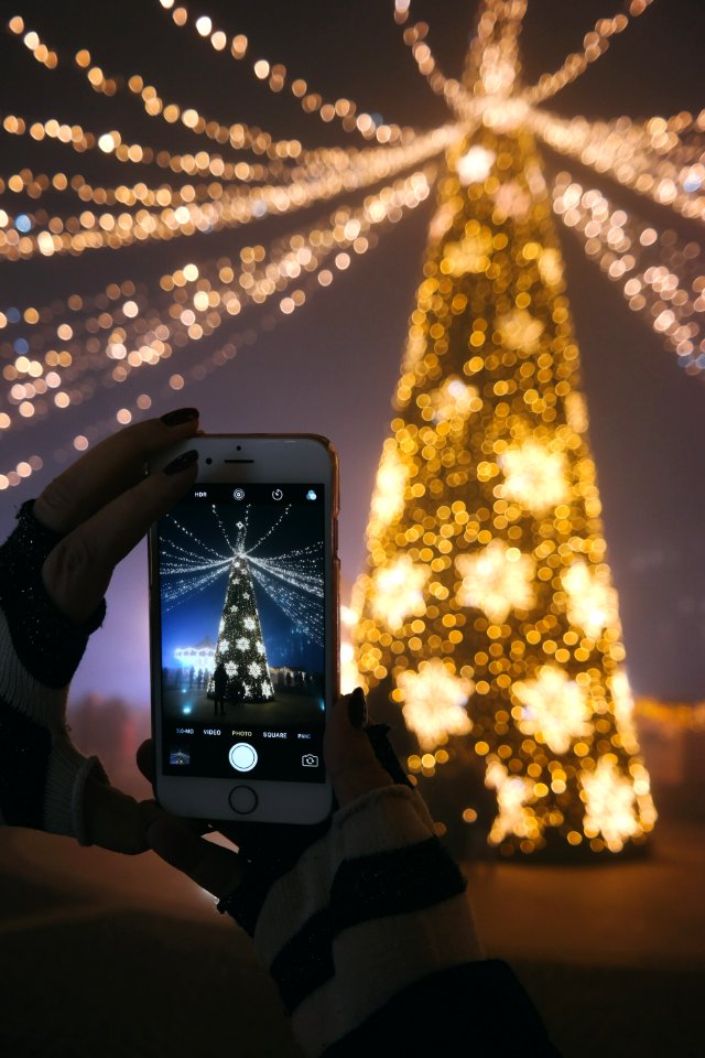Person Photographing Christmas Tree