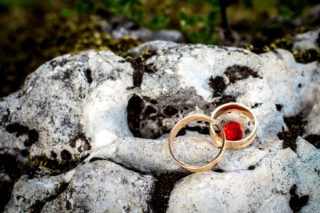 Wedding Rings On Rock