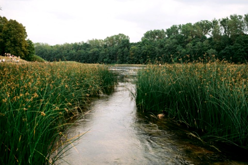 River In The Summer