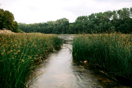 River In The Summer