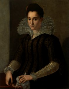 Alessandro Allori Circle Of Piiri Krets (15351607) Portrait Of A Lady Naisen Muotokuva Portrtt Av Dam photo