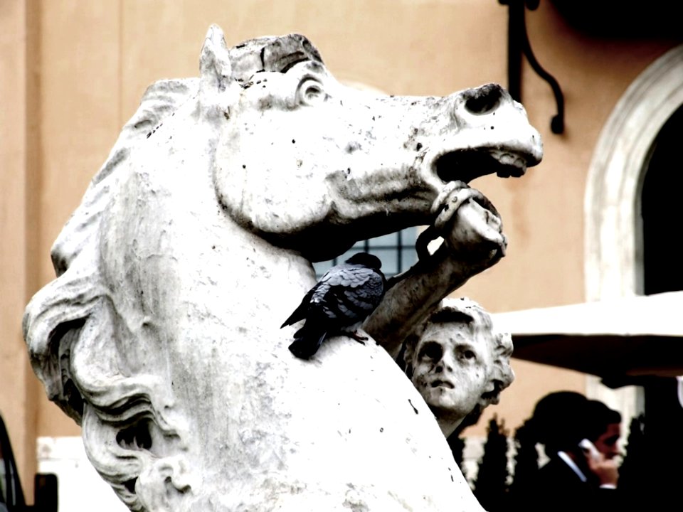 Italy Vatican - Creative Commons By Gnuckx