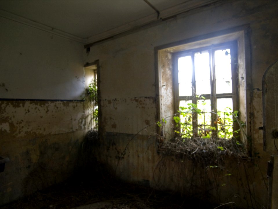 Charleville Castle Stables
