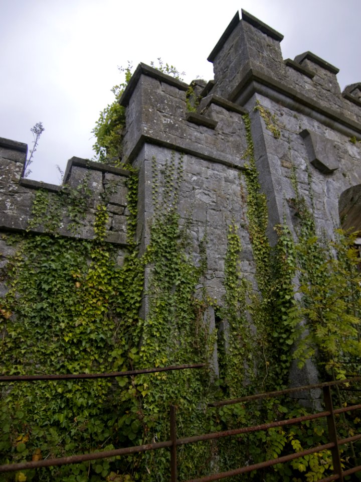 Charleville Castle Stables