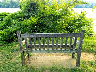 Broken Bench