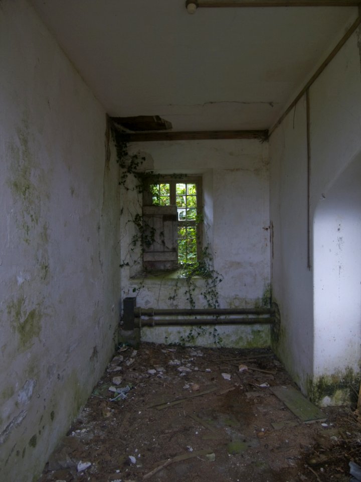 Charleville Castle Stables
