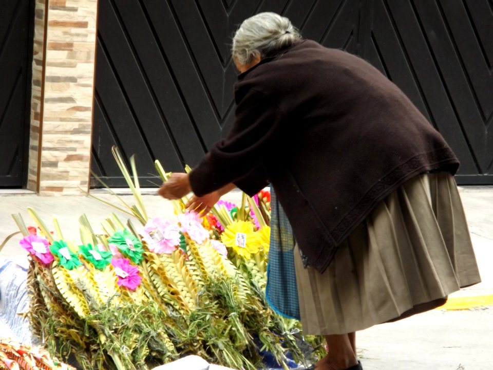 Vendedora De Ramos