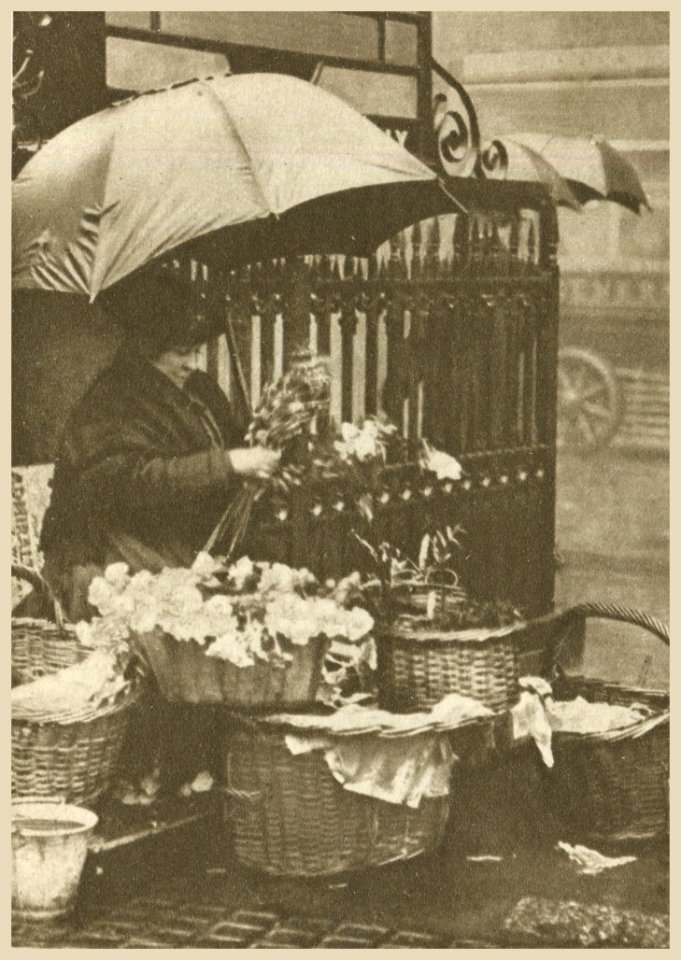 The Flower Seller Is To Be Observed In Her Most Prosperous State