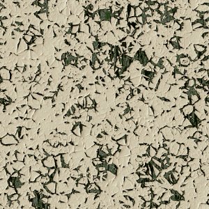 Mammal Art Pattern Drawing