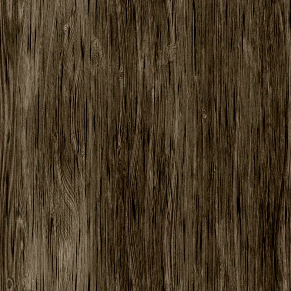 Hair Brown Wood Mammal