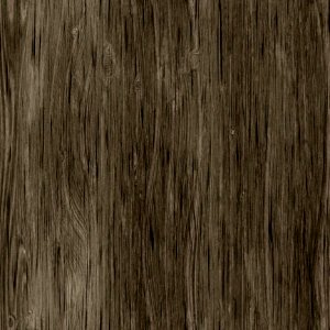 Hair Brown Wood Mammal