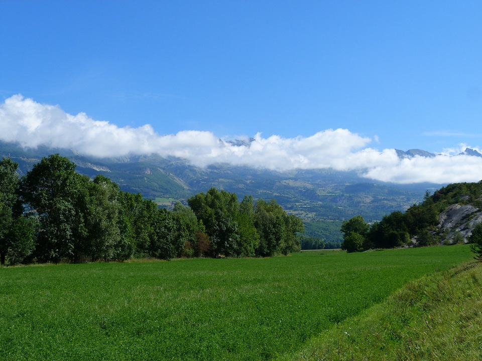 Mountains summer green photo