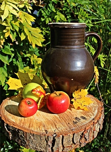 Beer stein fruit herbstimpression photo