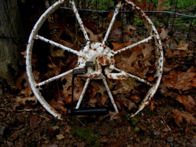 Rusted Wheel photo