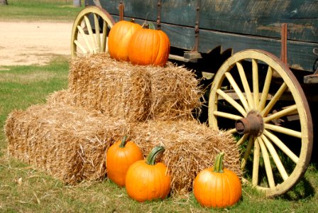 Orange Pumpkin On Brown Hay Near Gray Carriage