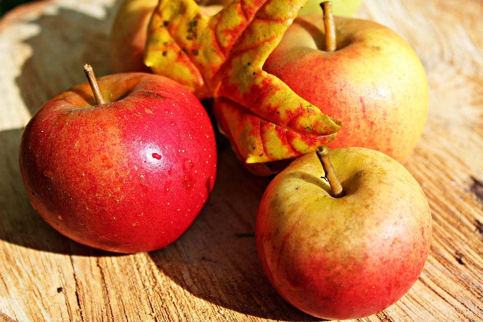 Autumn fruits harvest