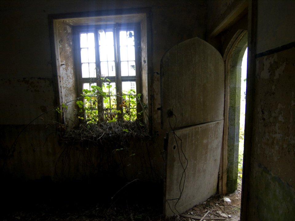 Charleville Castle Stables
