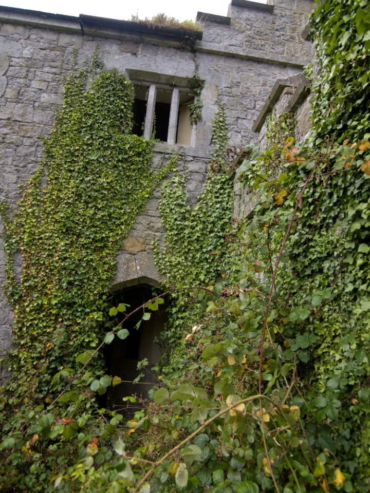 Charleville Castle Stables