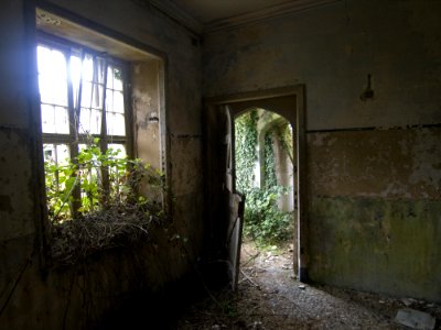 Charleville Castle Stables