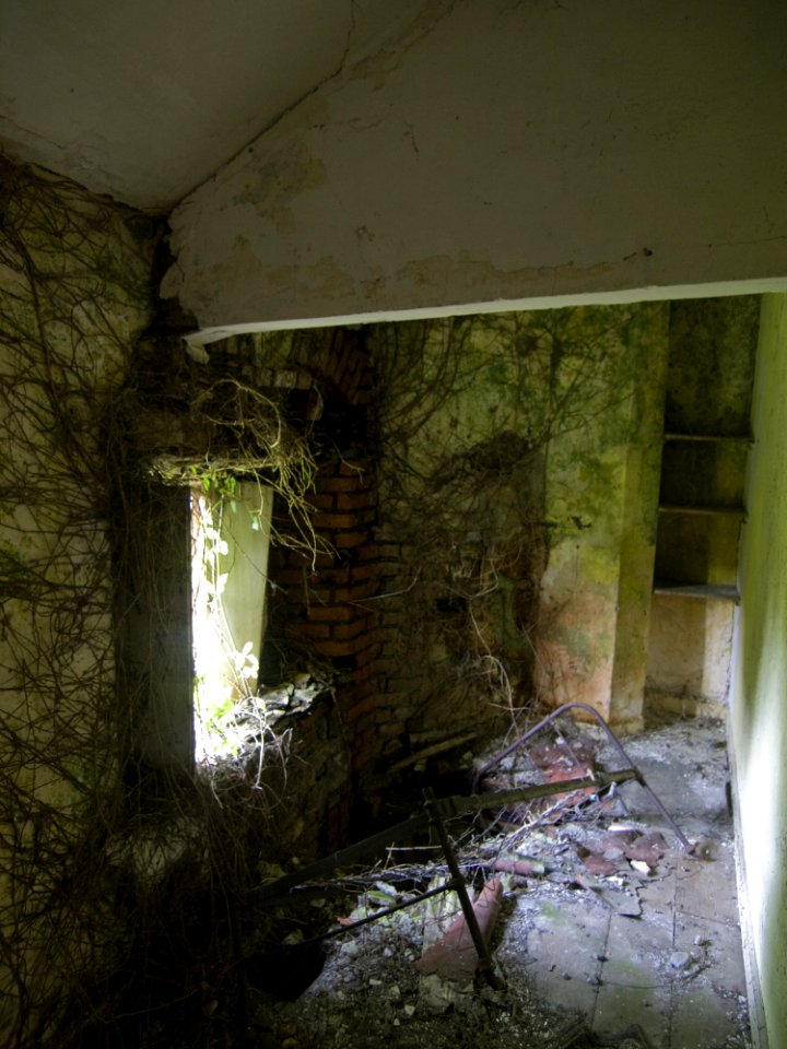Charleville Castle Stables